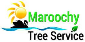 Maroochy Tree Service