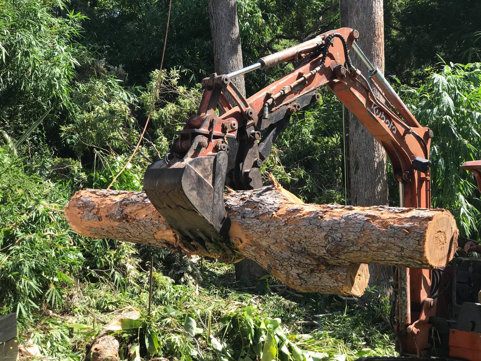 Coast stump sunshine grinder hire