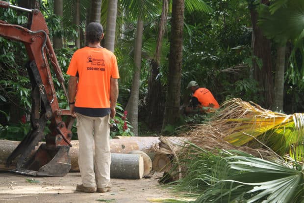 Mobile Sawmilling Services Sunshine Coast