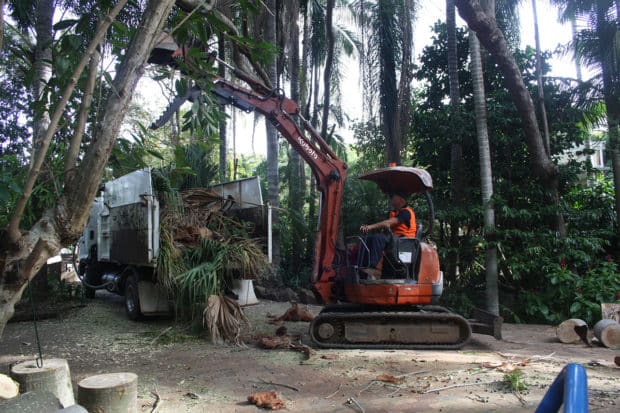 Stump Grinding Services Sunshine Coast