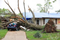 Emergency, Marietta Storm Damage