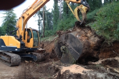 Stump Grinding, Moving tree stump with digger