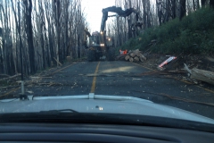 View through windscreen